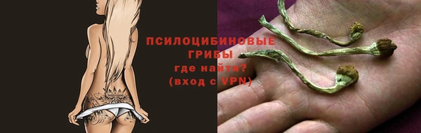 стаф Зеленодольск