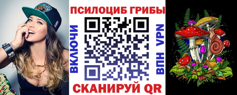 продажа наркотиков  Каргополь  Псилоцибиновые грибы Psilocybe 